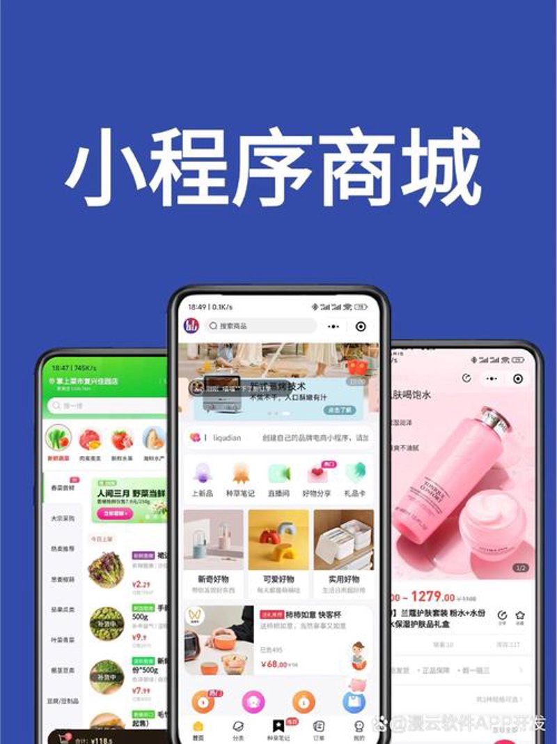 上海软件开发